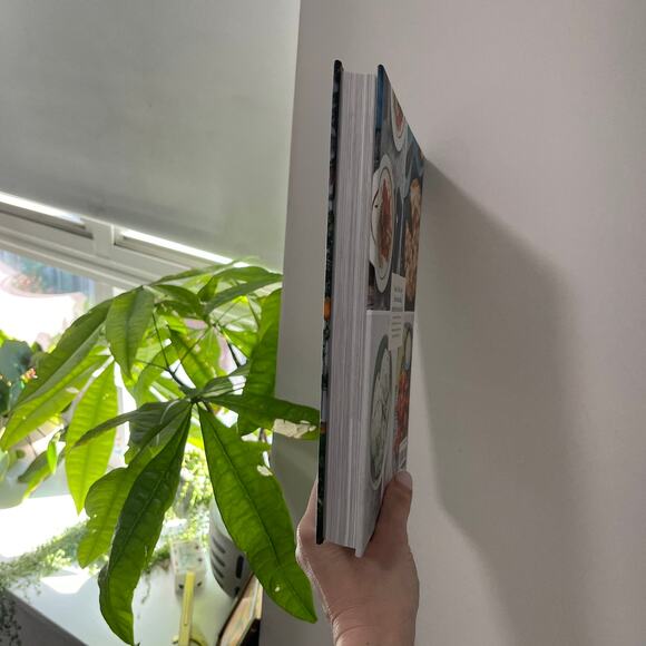 Vegan at Times Cookbook - Picture 3 of 3